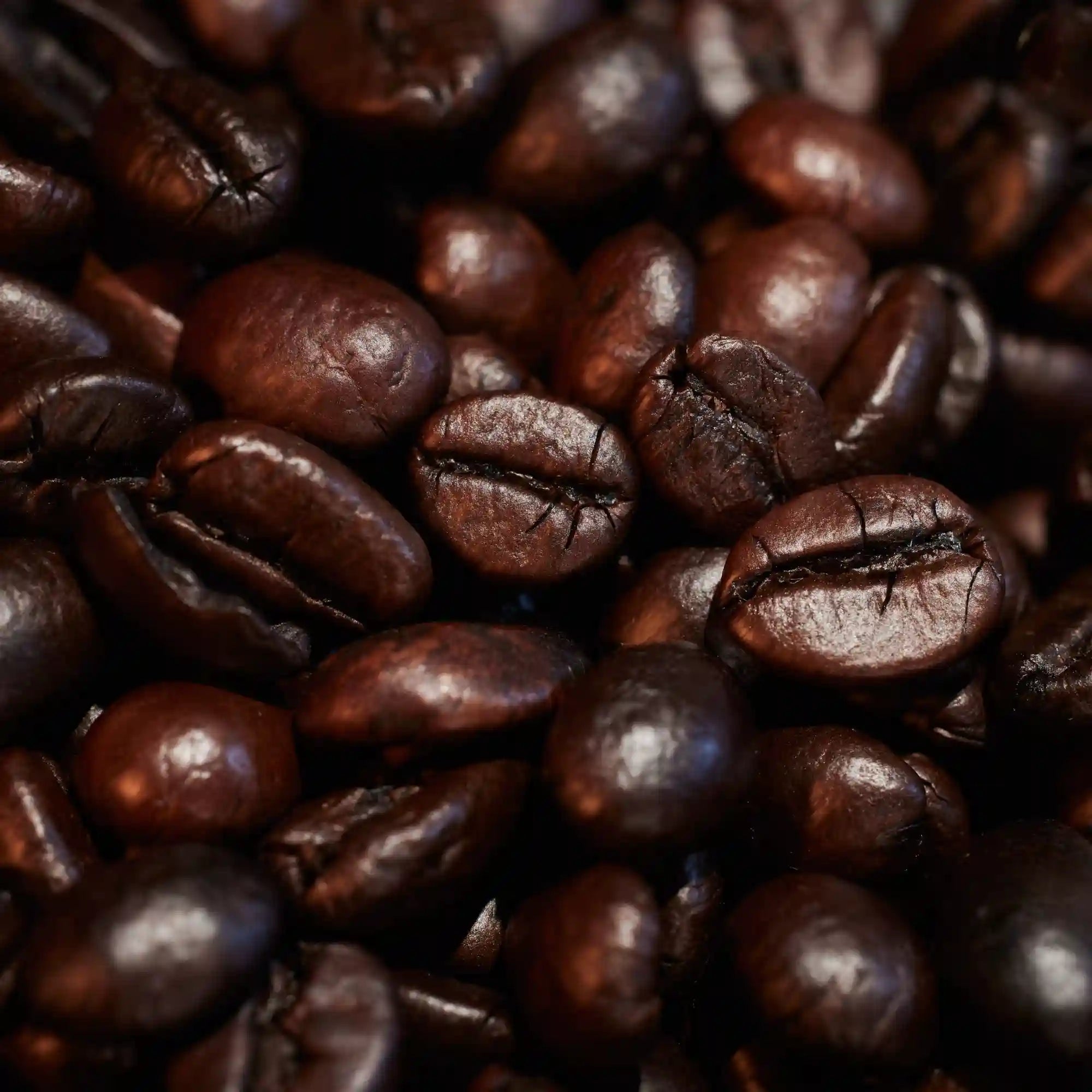 Oudgasm Café Oud | 19
