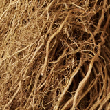 Dapper Daddy Saffron Oud