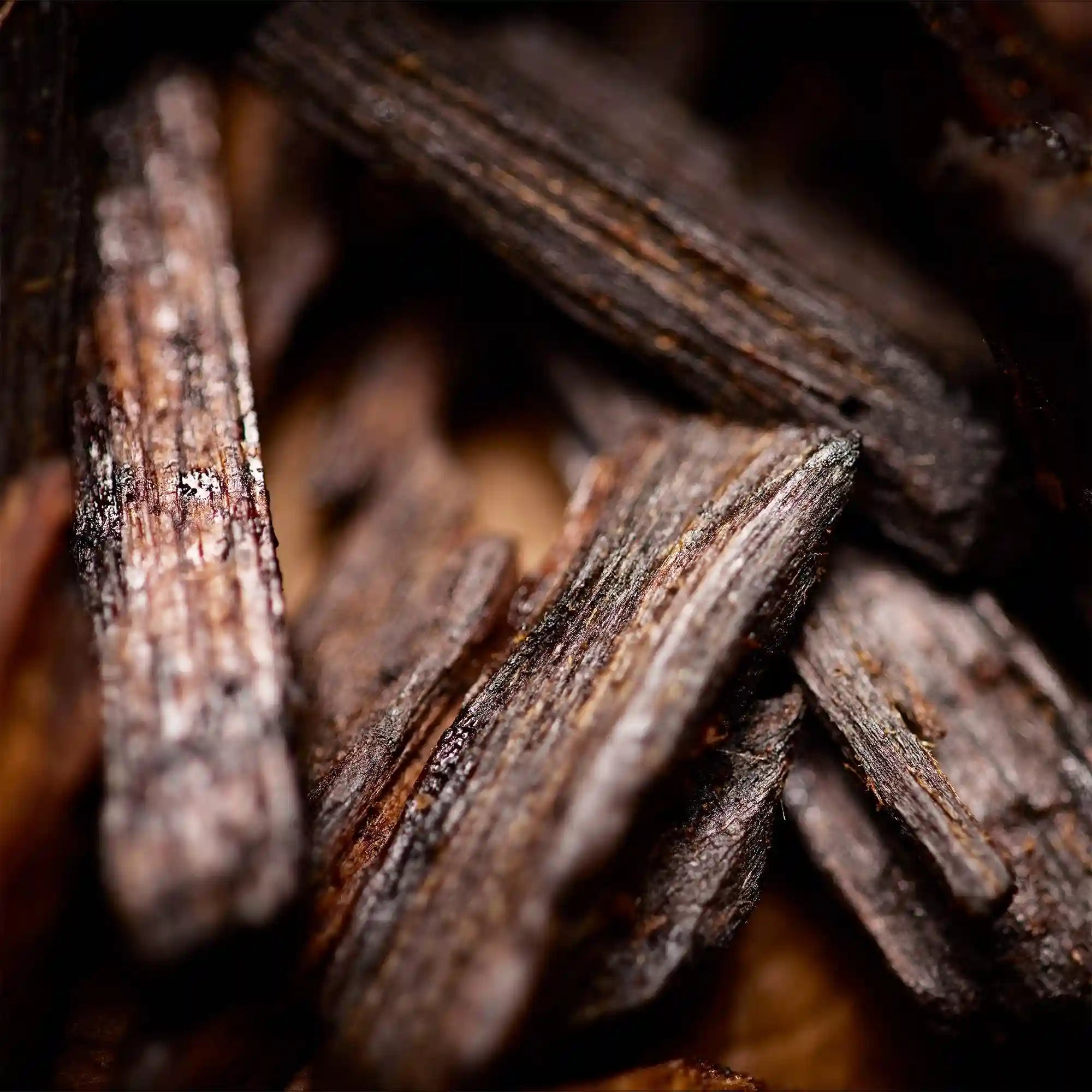 Oudgasm Chocolate Oud | 11
