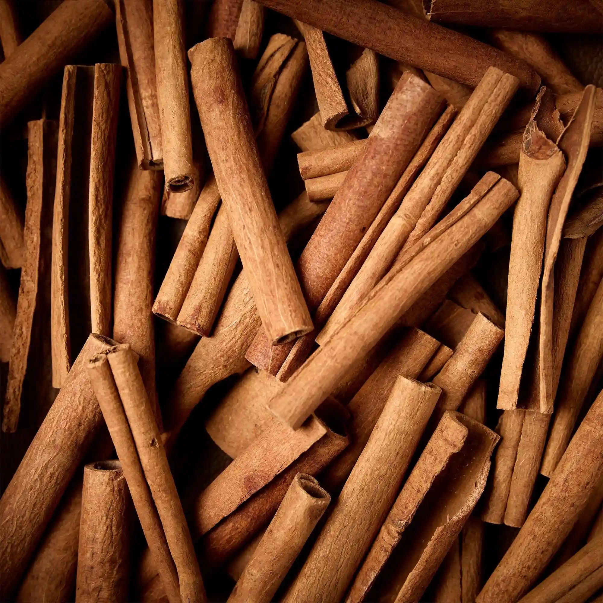 Oudgasm Chocolate Oud | 11